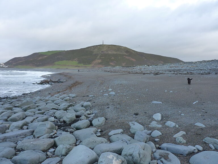 A dog explore Aberystwyth beach in West Wales on a dog friendly adventure