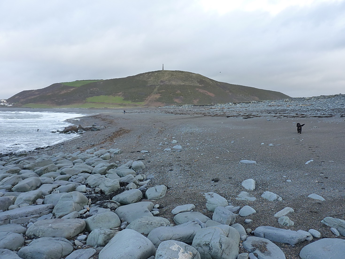 A dog explore Aberystwyth beach in West Wales on a dog friendly adventure