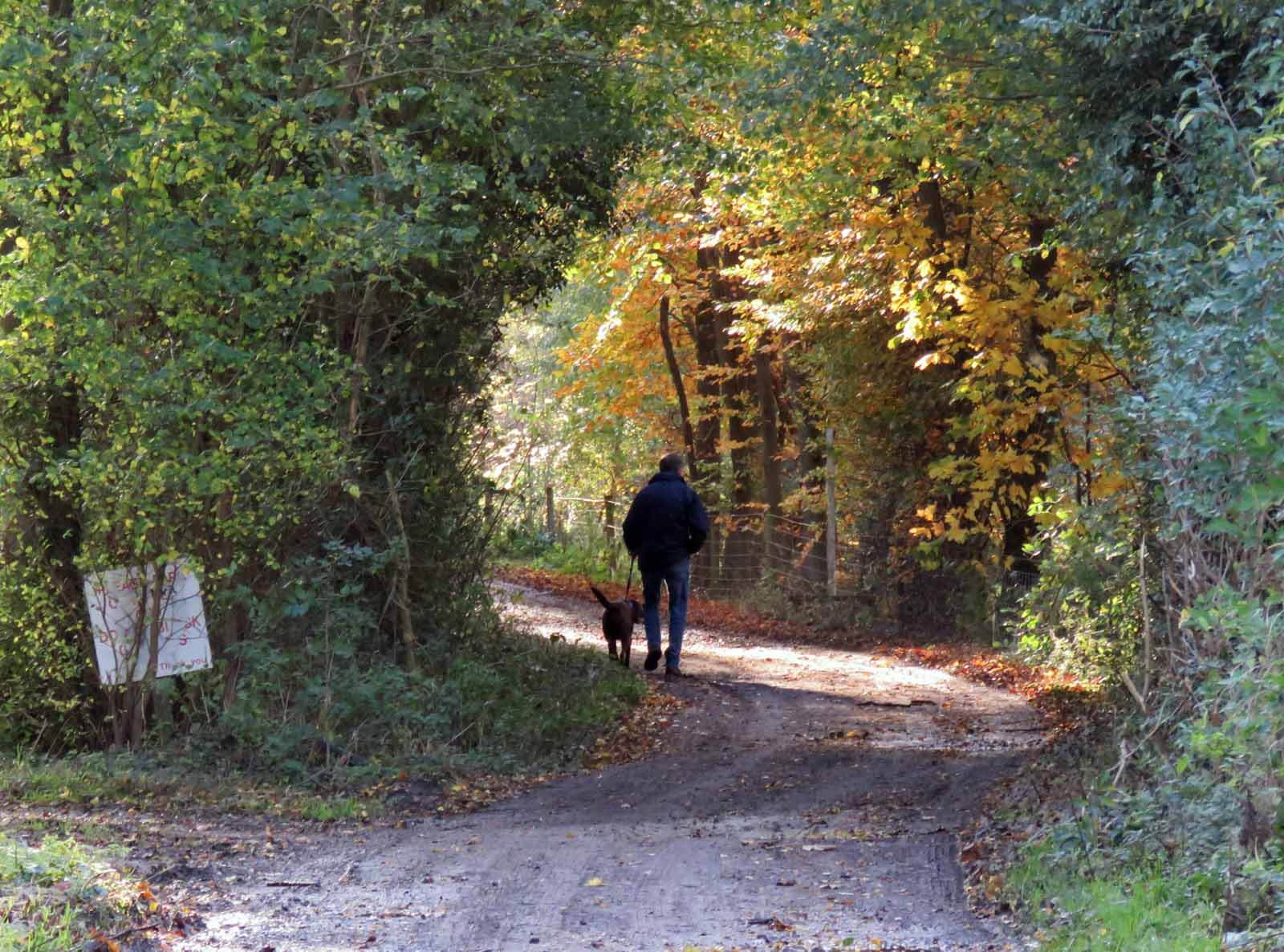 A man walks his dog on a dog friendly trail in Leicestershire