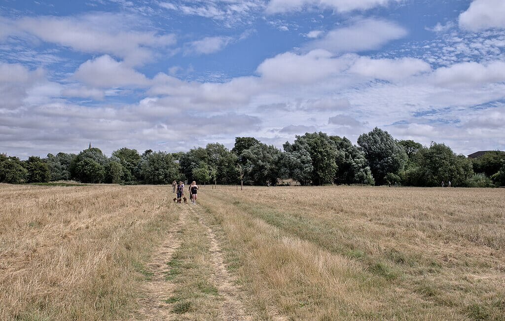 A family dog friendly walk through a sunny field in Lincolnshire.