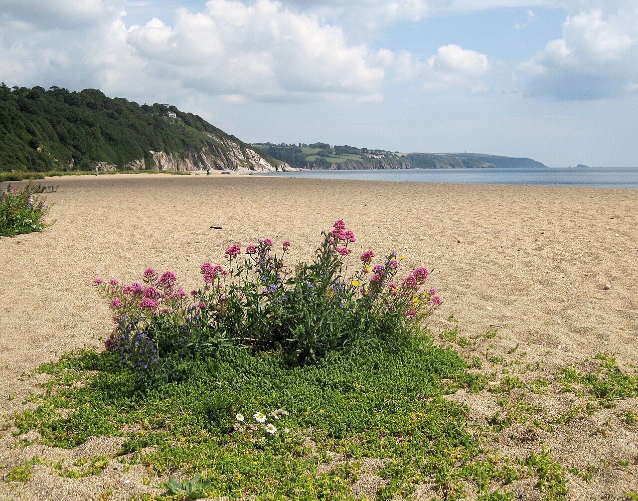 Strete Gate Beach