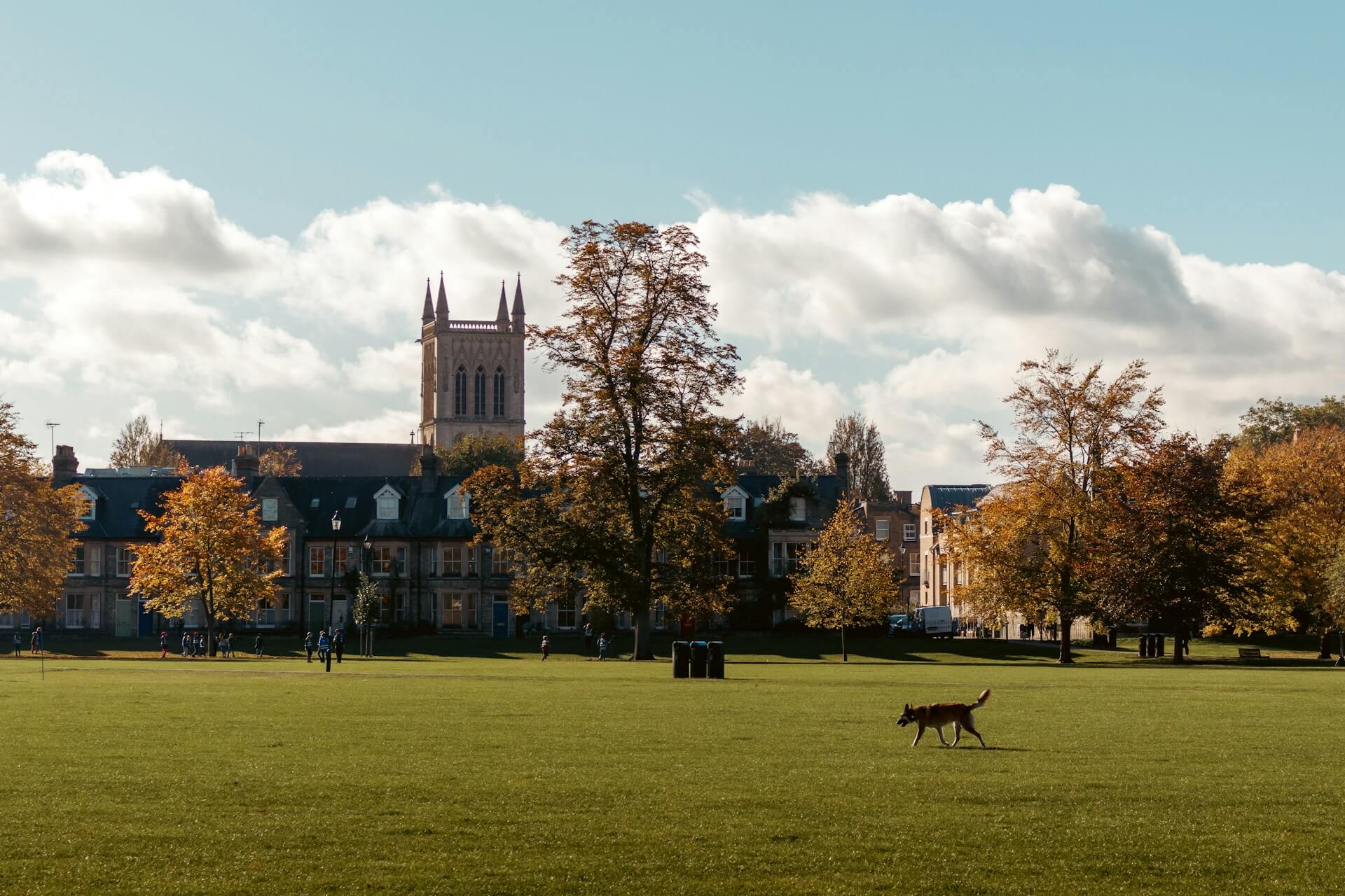 A dog walks across a field with Cambridge town in the background during a dog friendly walk in Cambridgeshire