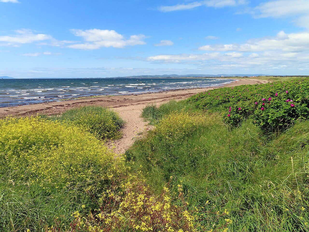 Barassie Beach