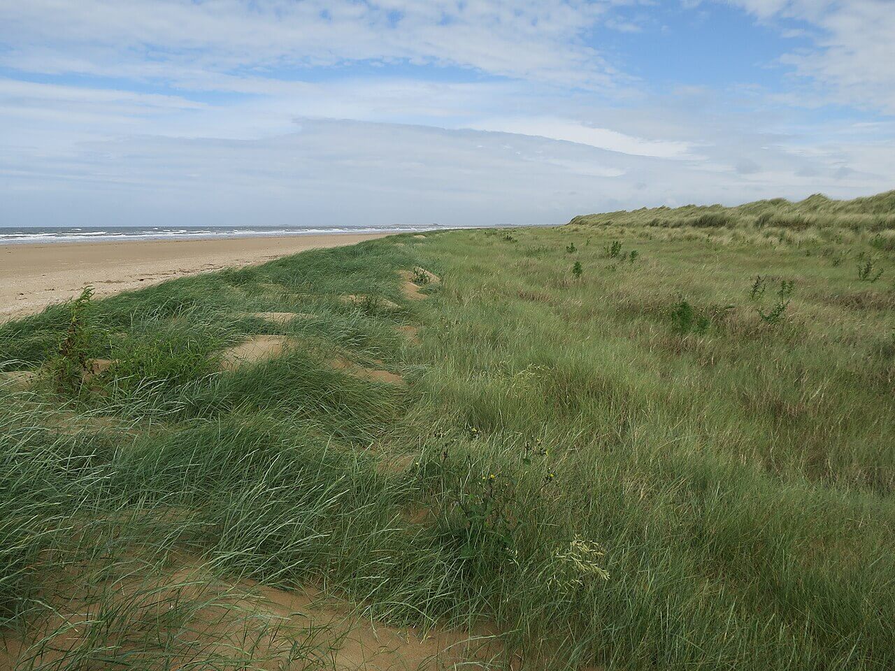 Thornham Beach
