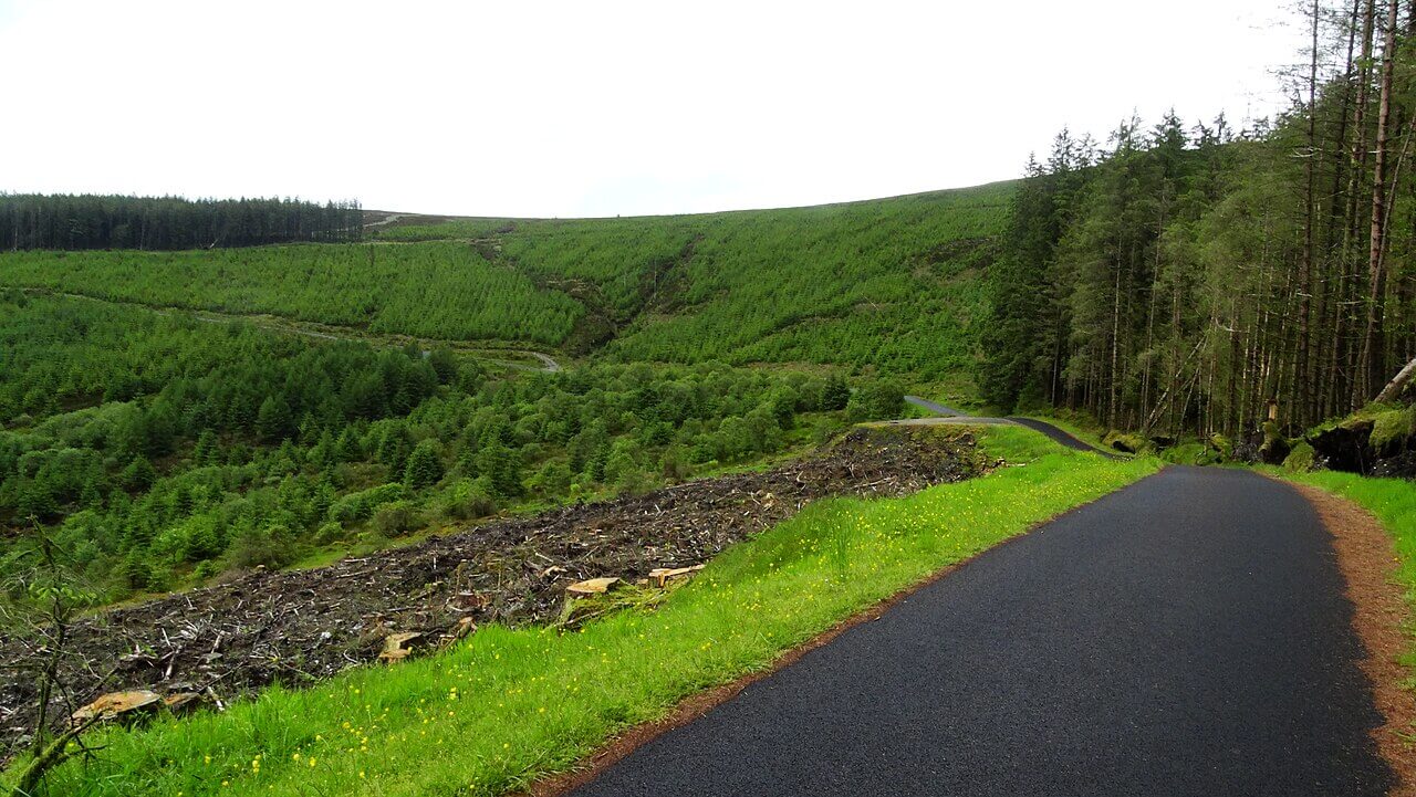 Colin Glen Forest Park Circular