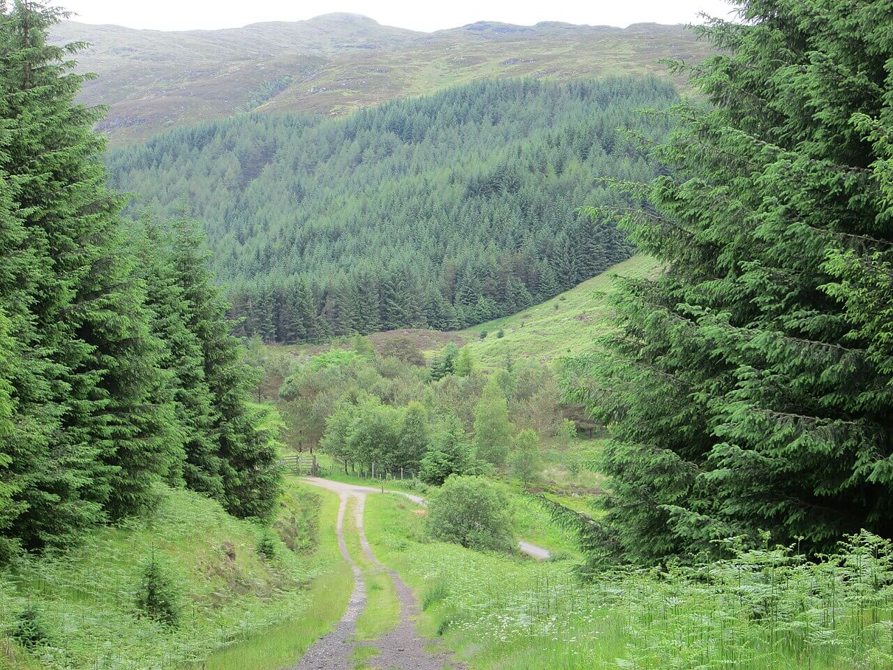 Rob Roy Way Section: Killin to Ardtalnaig