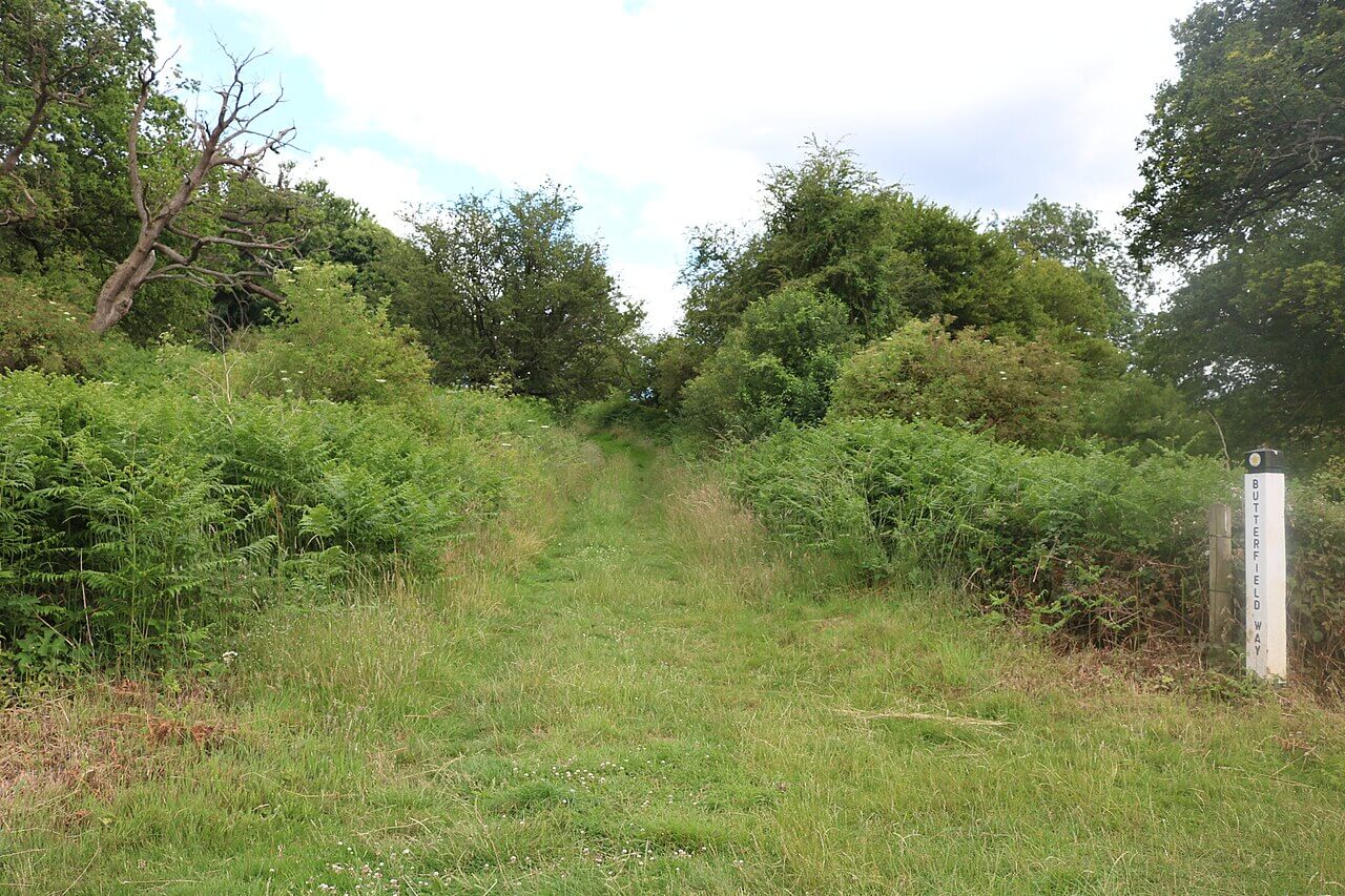 Panshanger Park and River Mimram Walk