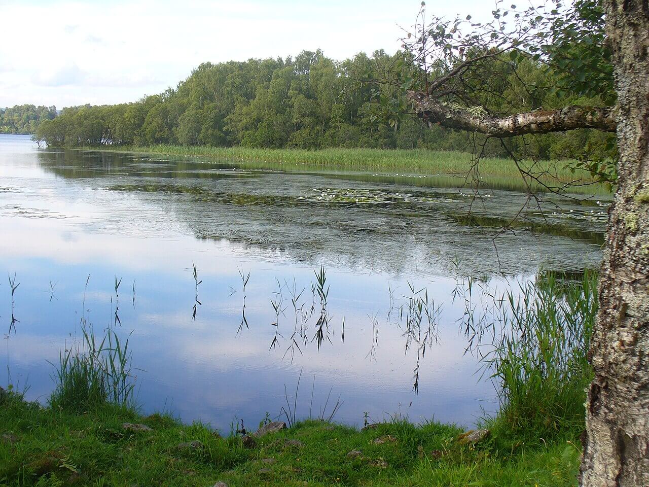 Muir of Dinnet Loch Kinord Circular