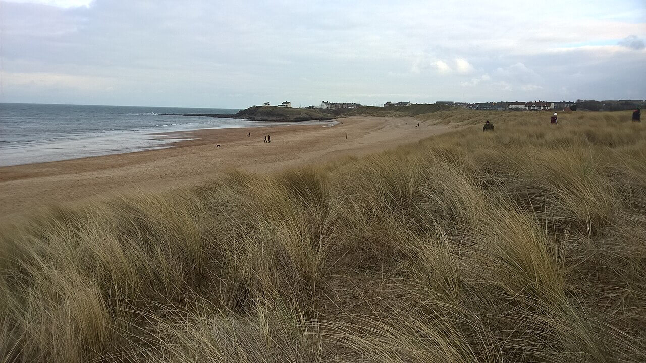 Seaton Sluice Beach