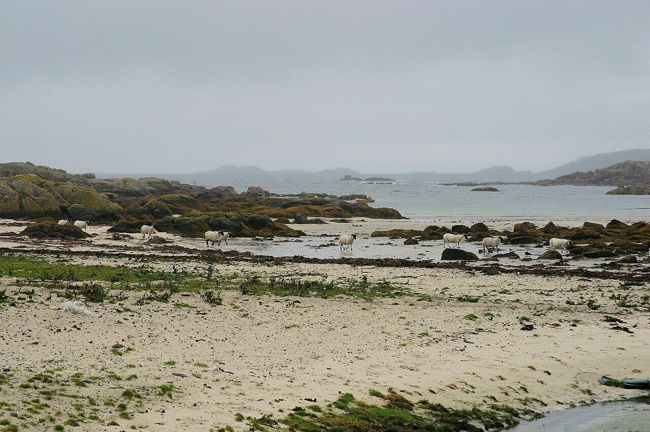 Fidden Beach