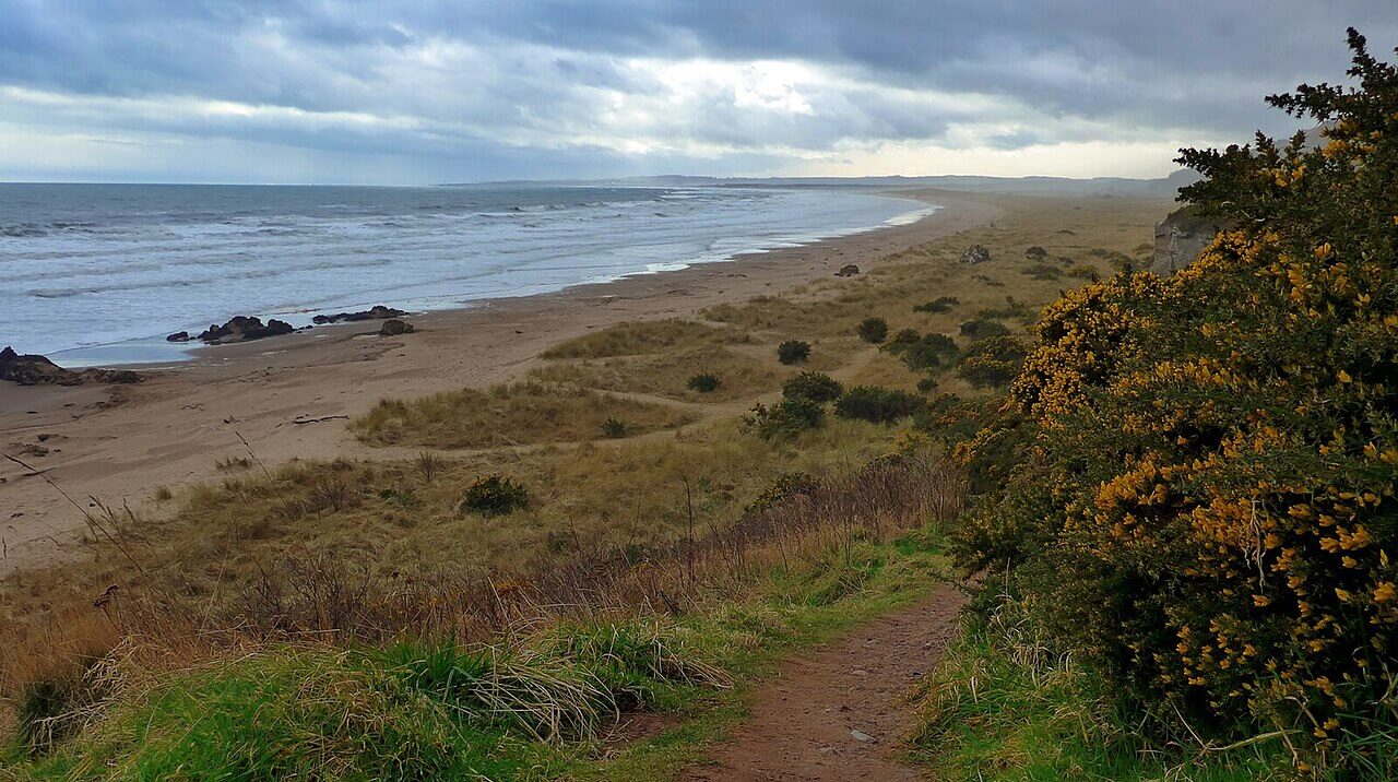 St Cyrus Beach