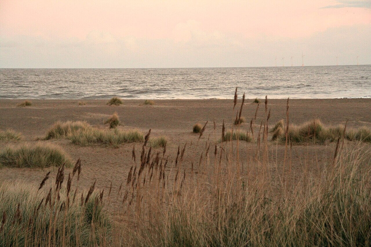 Chapel St Leonards Beach