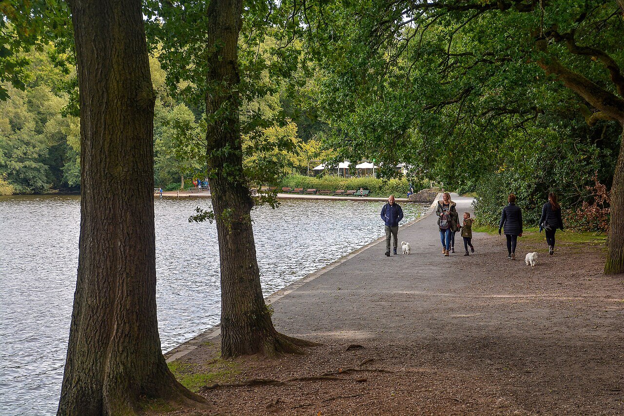 Sutton Park Circular Walk, Sutton Coldfield