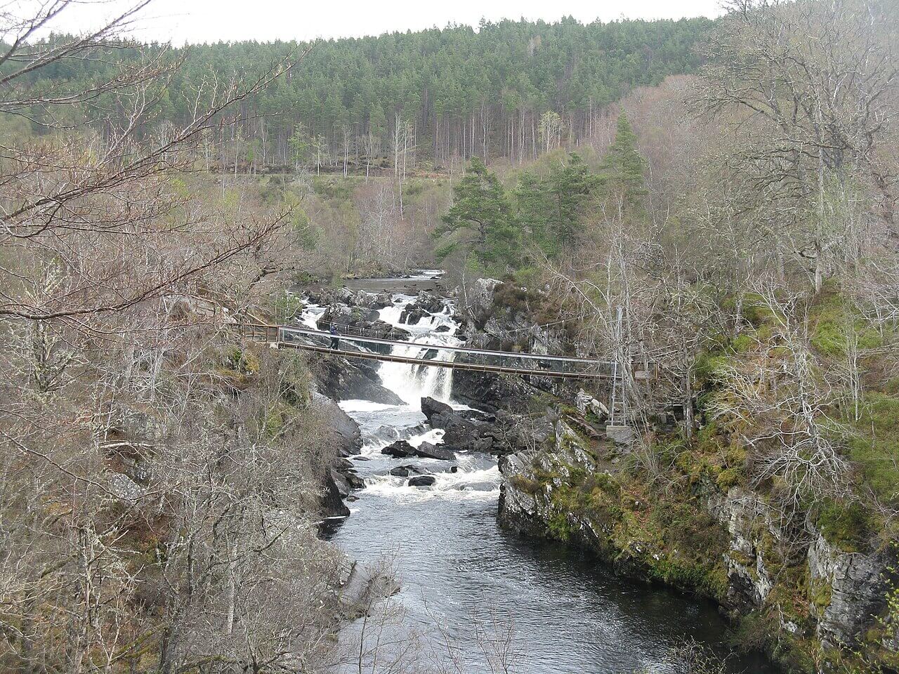 Rogie Falls Circular Walk