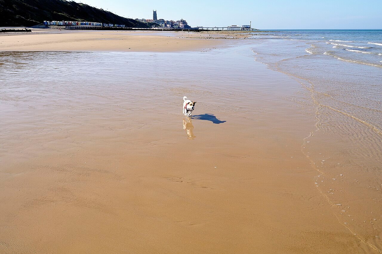 Cromer Beach
