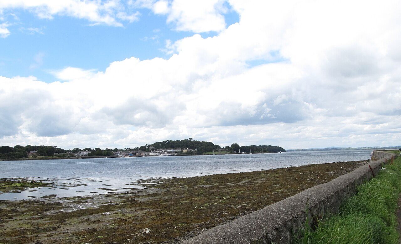 Castle Ward Estate and Strangford Shore