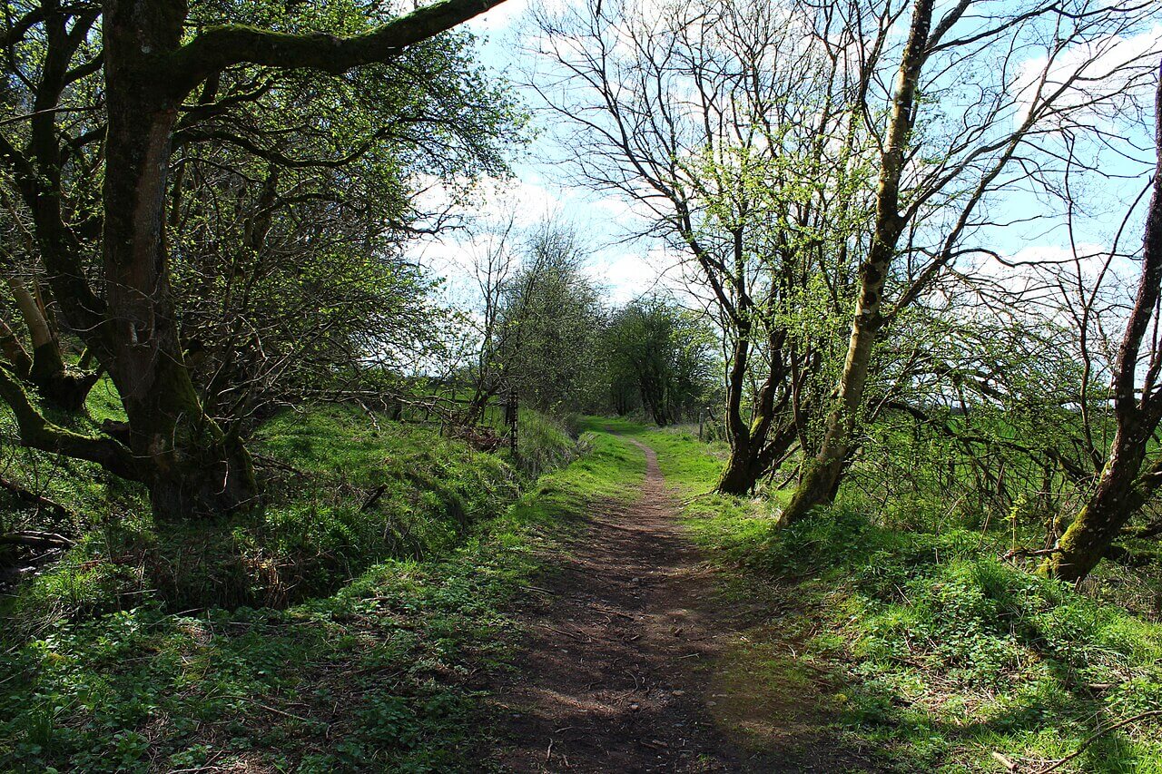 Threave Estate Circular Walk