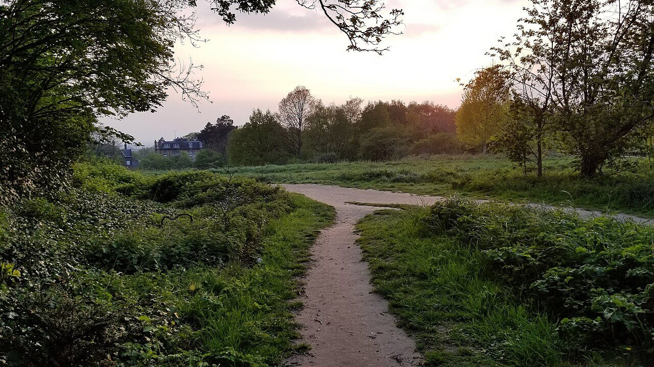 Hampstead Heath Extended Circular Walk
