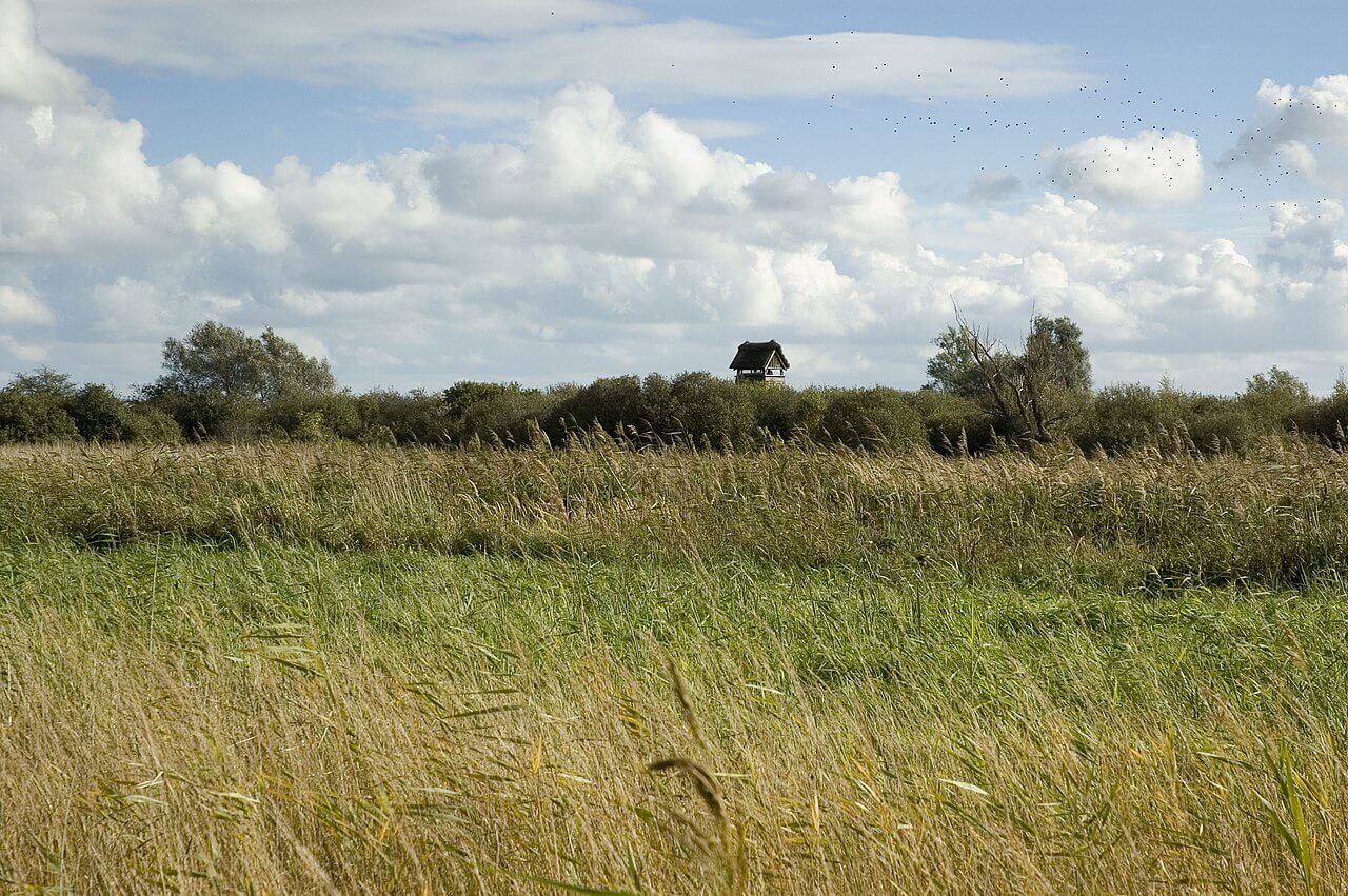 Wicken Fen Extended Circular Walk