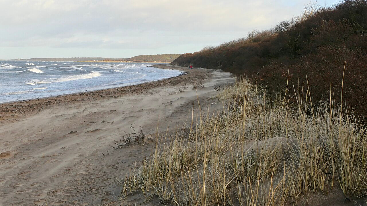 Longniddry Bents