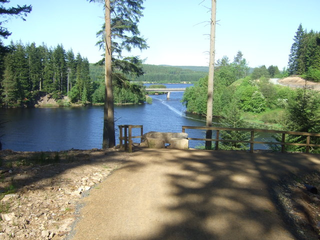 Kielder Forest Lakeside Way Section