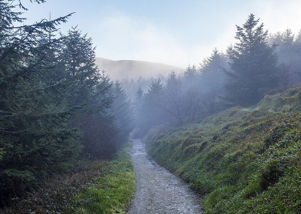 Kilbroney Forest Park Circular, Rostrevor