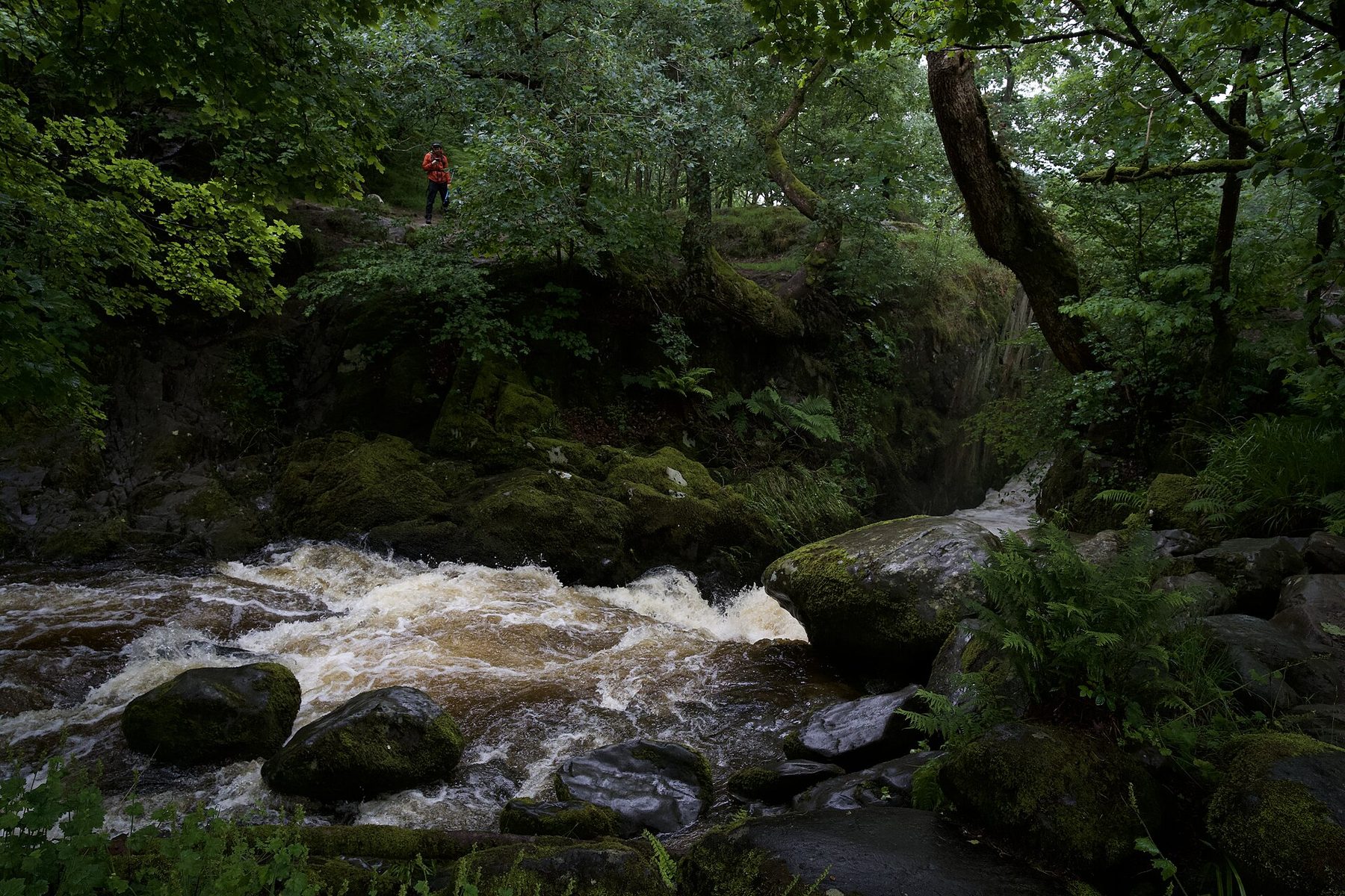 Aira Force and Ullswater Viewpoints