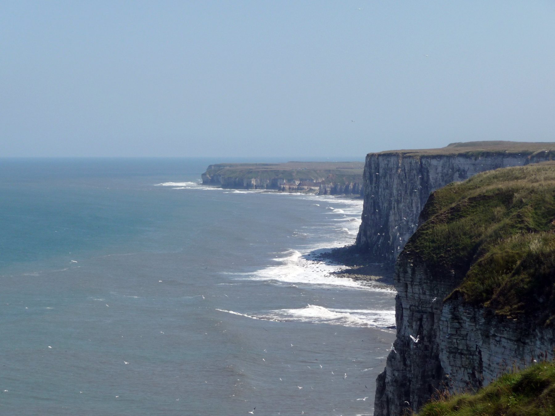 Bempton Cliffs RSPB Circular Walk