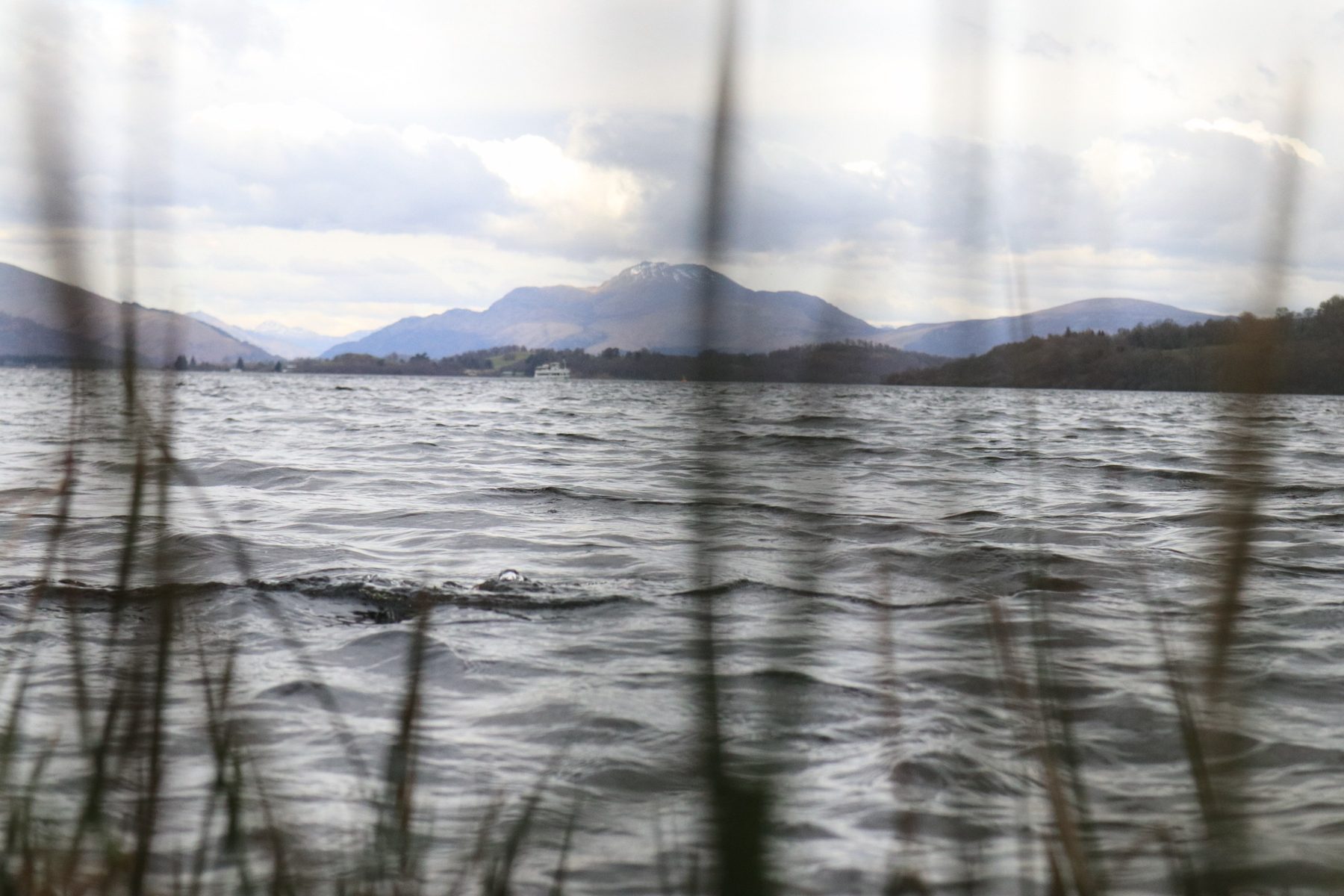Ben Lomond from Rowardennan