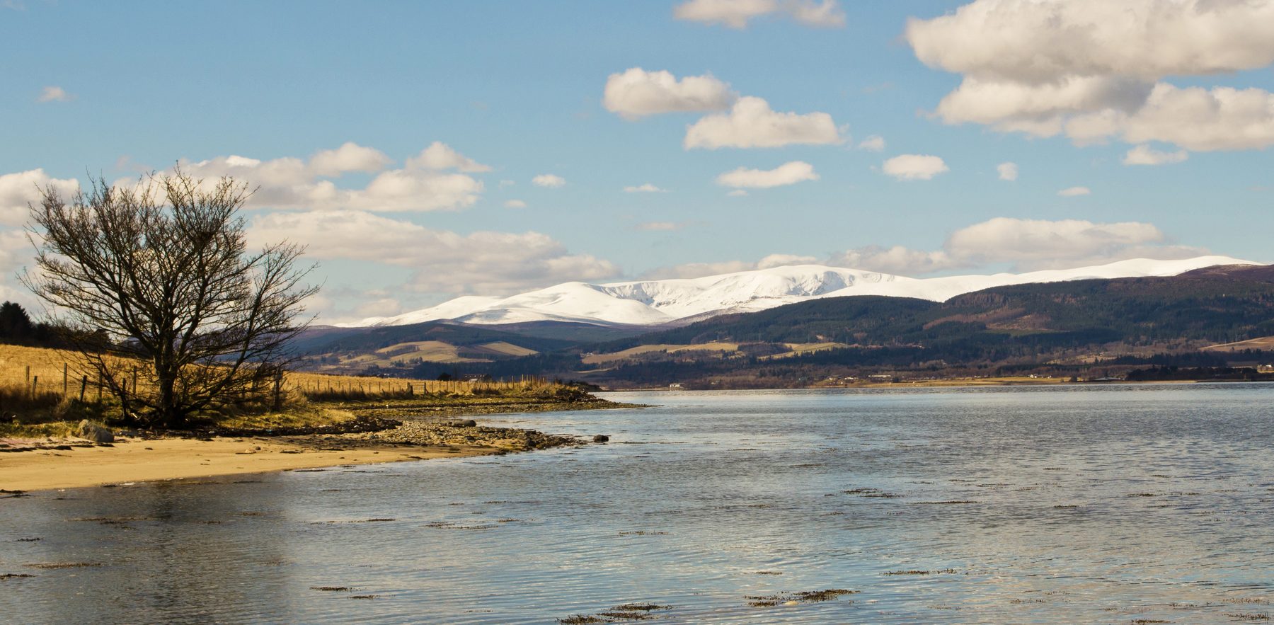 Ben Wyvis from Garbat