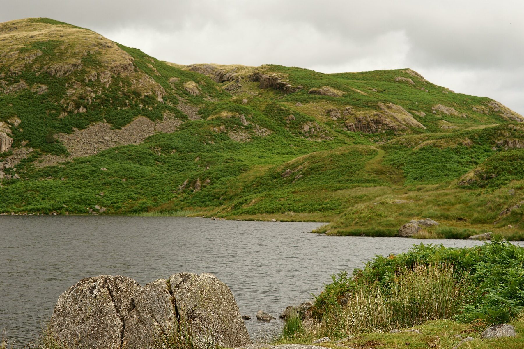 Blea Tarn and Side Pike Circuit