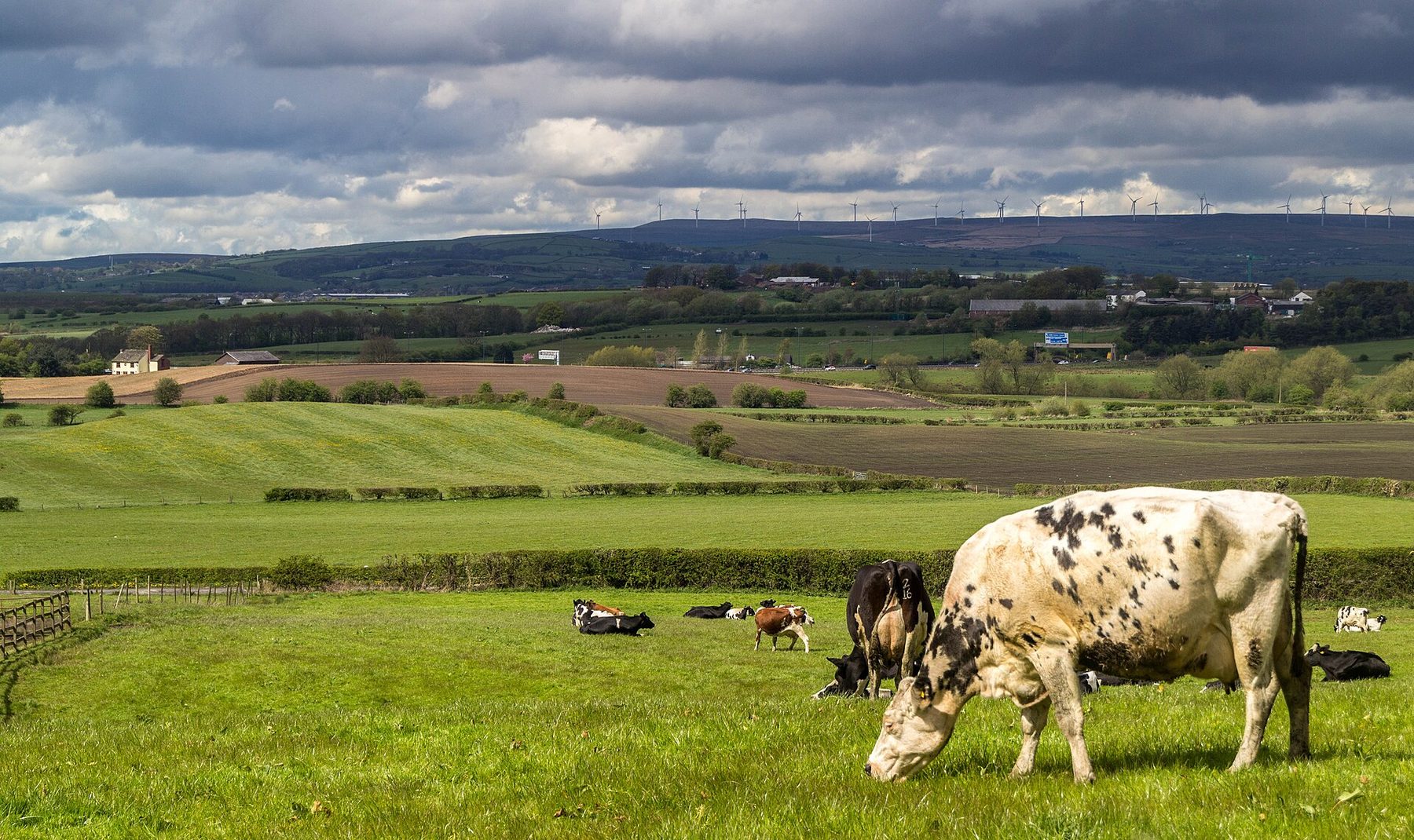 Bowlees and the Gibson's Cave Trail