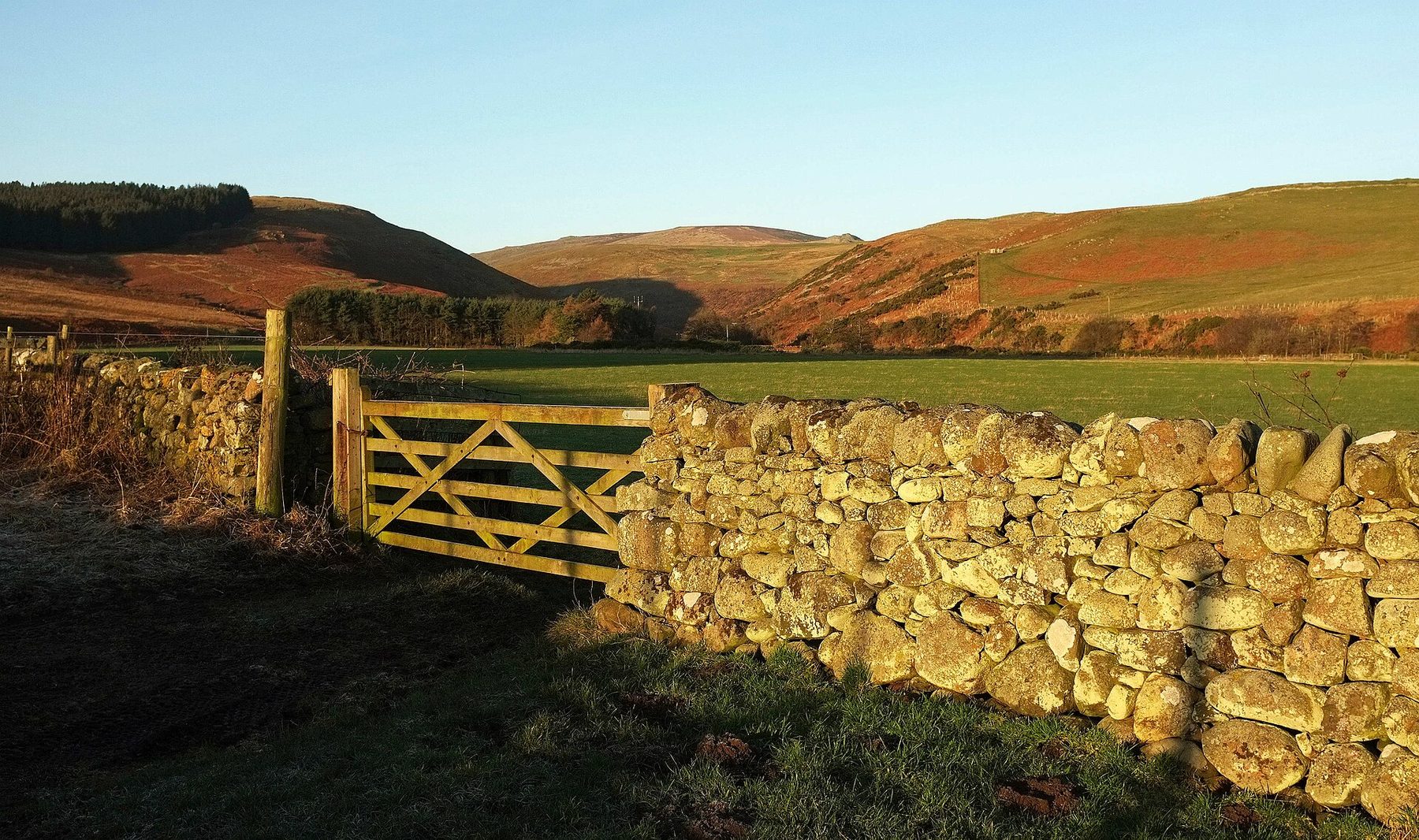 Breamish Valley and Ingram Hill Walk