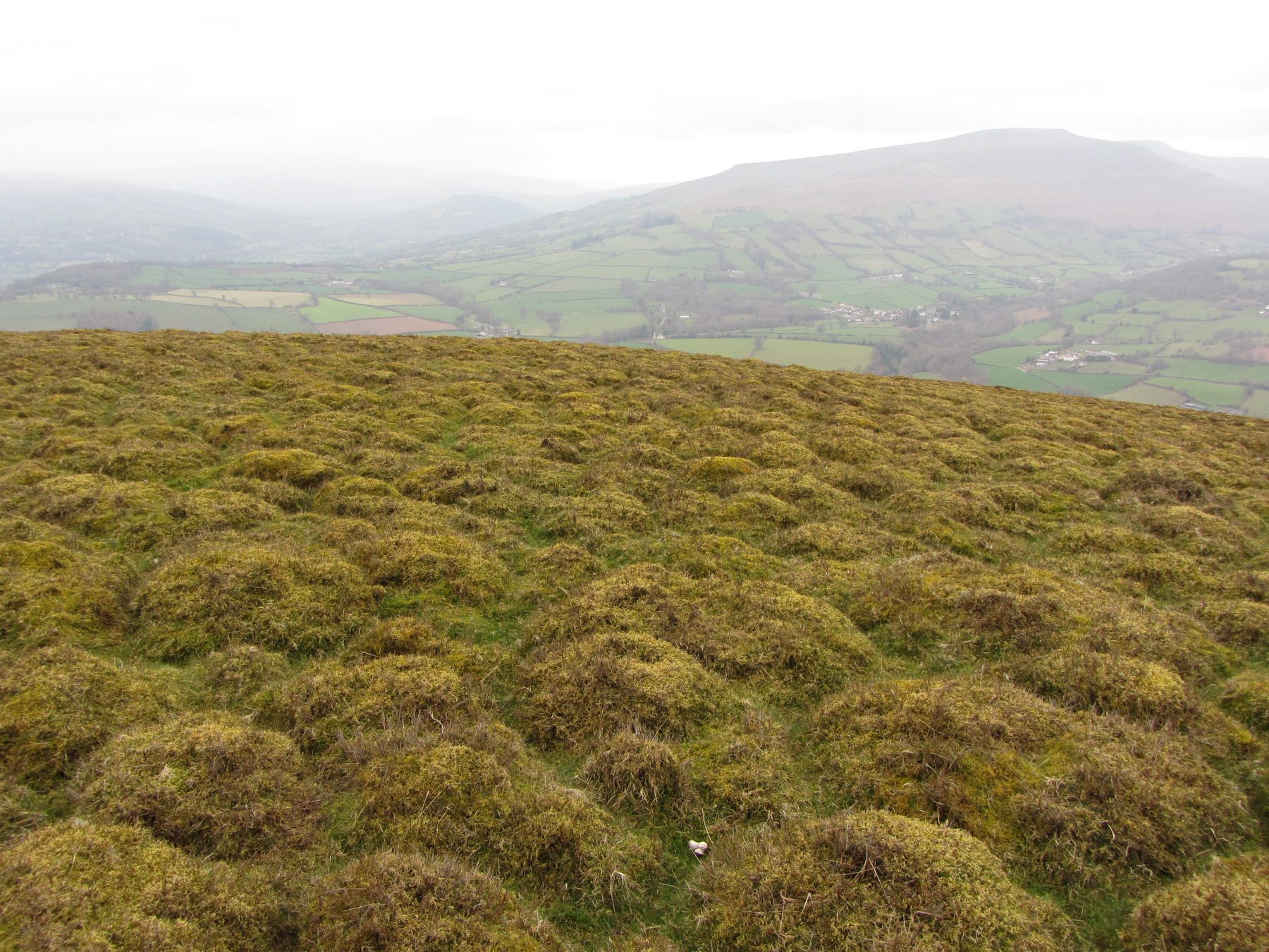 Brecon Beacons: Sugar Loaf from Abergavenny