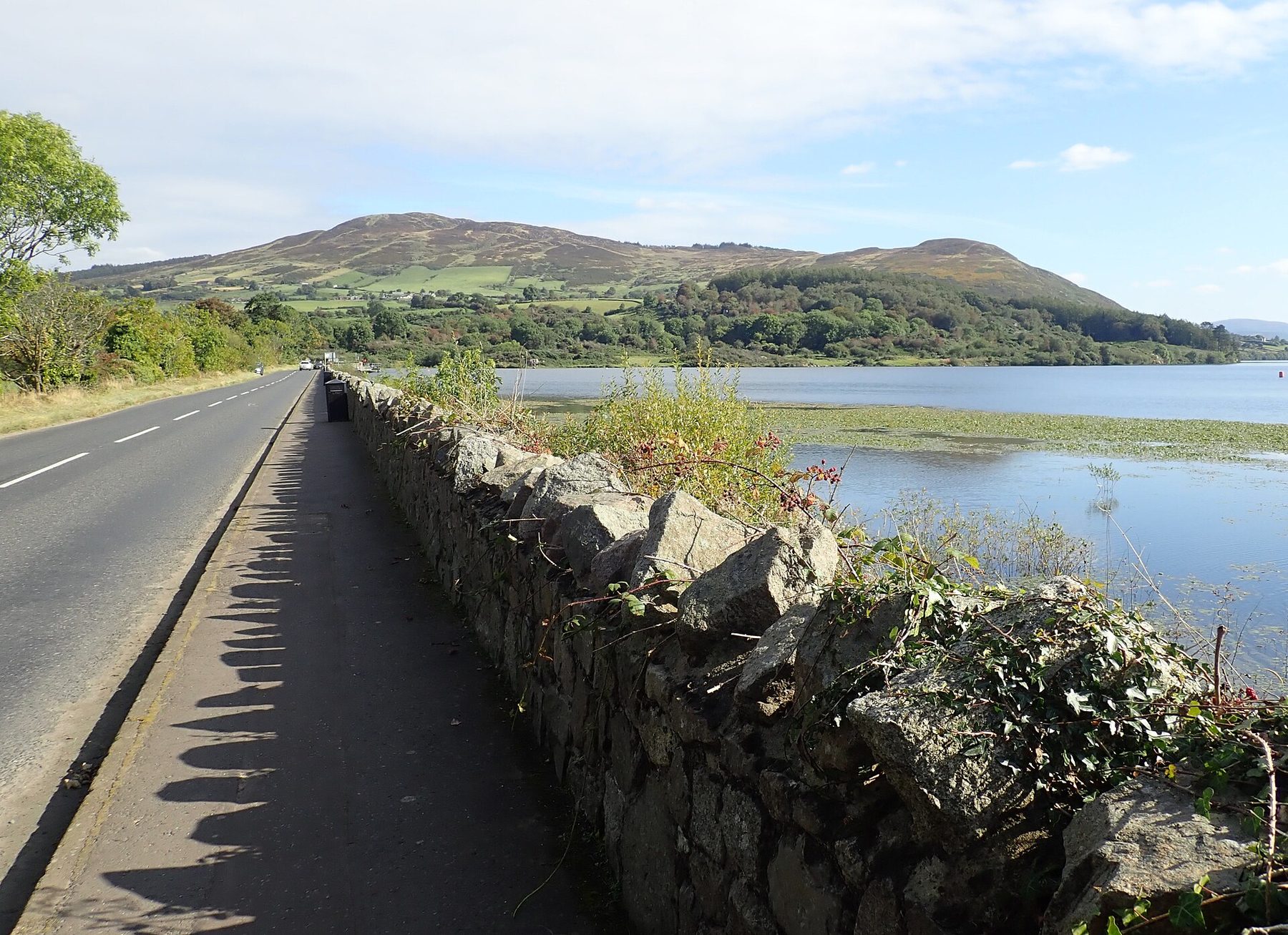 Camlough Mountain Circular Walk