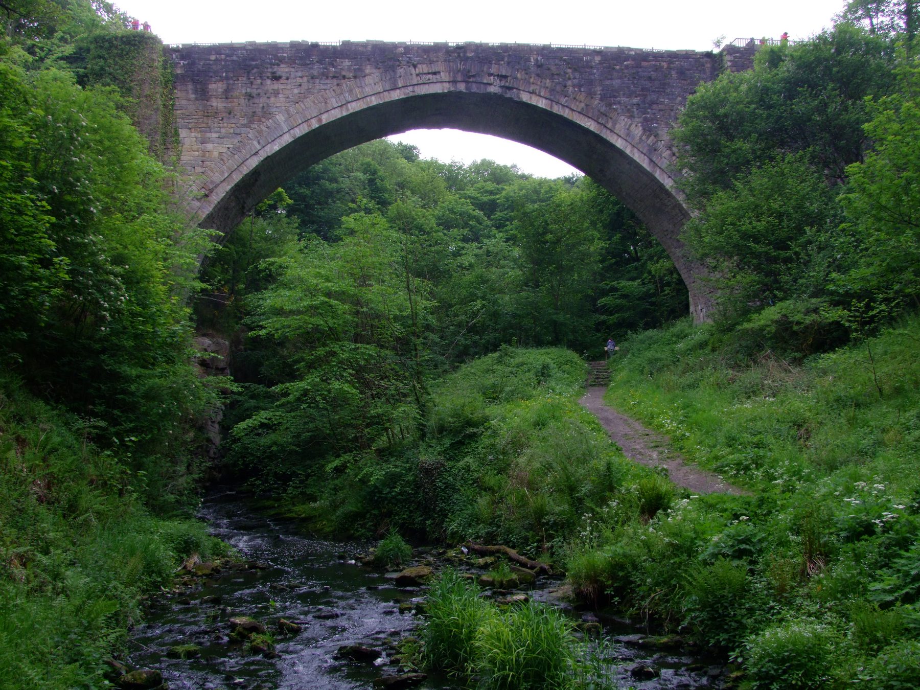 Causey Arch and the River Team Walk