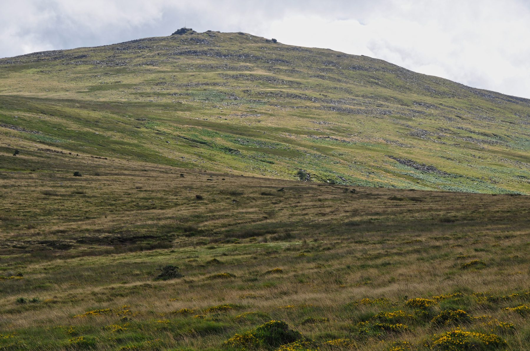 Dartmoor: Yes Tor and High Willhays from Okehampton