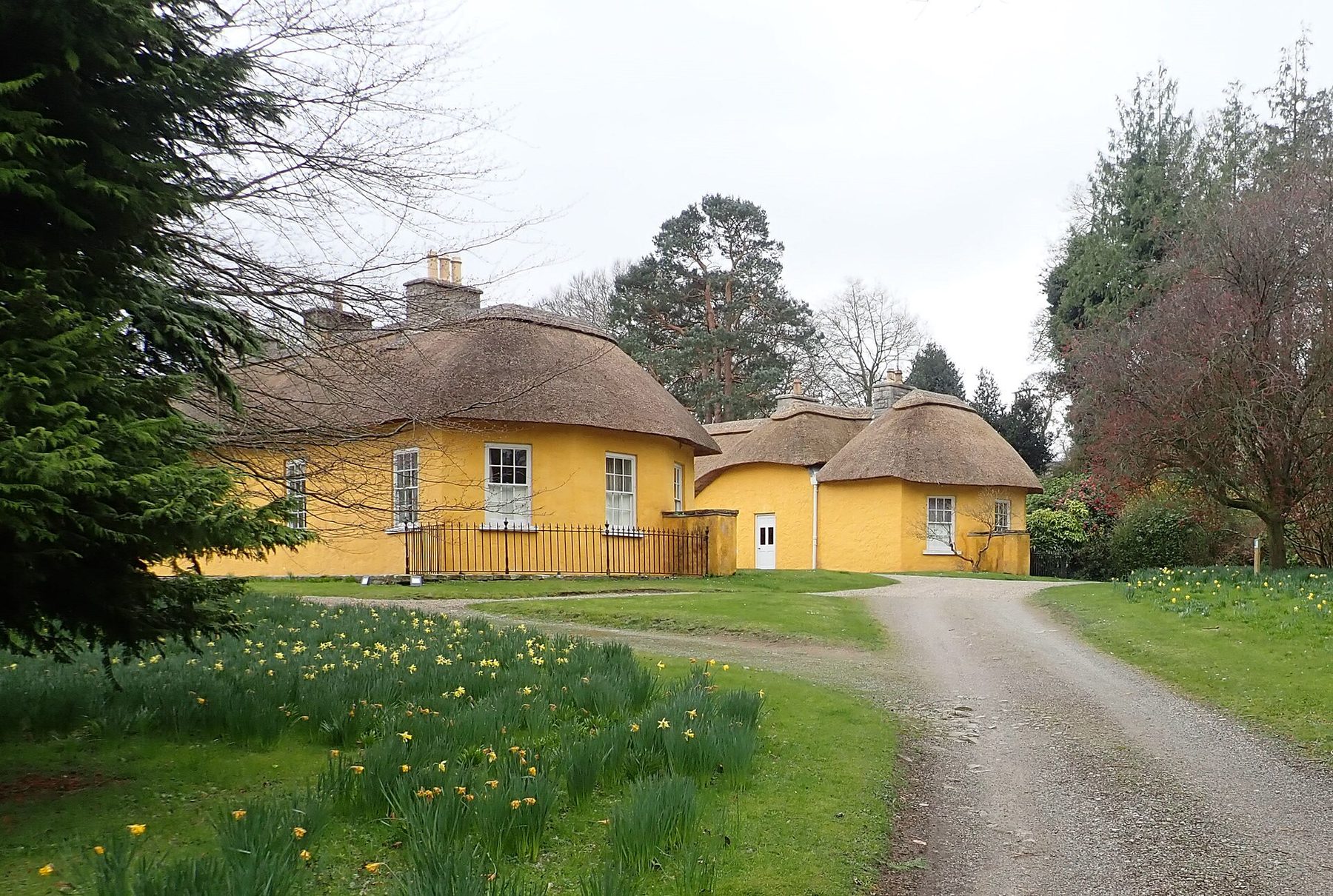 Derrymore House Woodland Walk