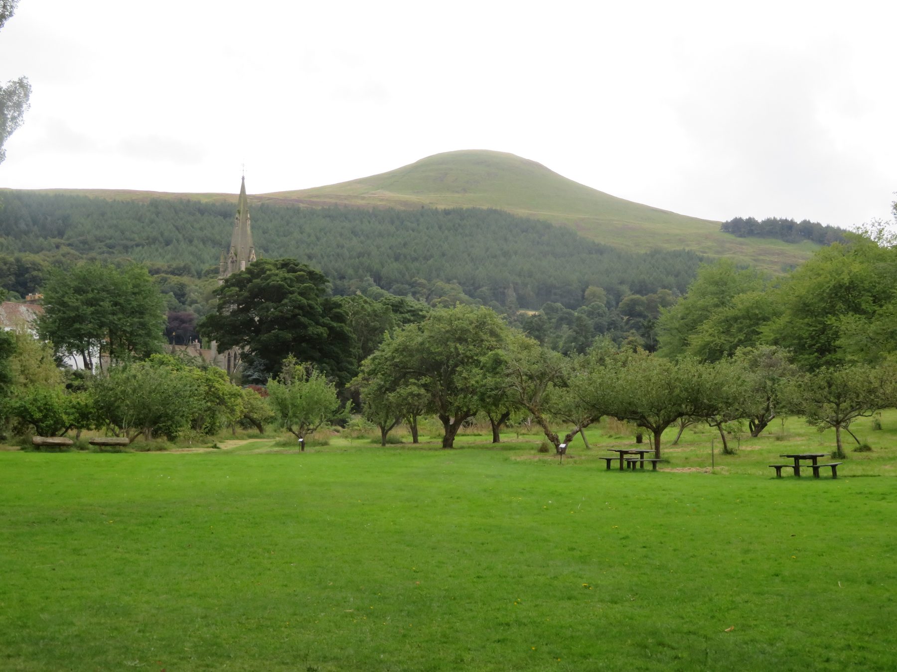 East Lomond and Falkland Hill Circular