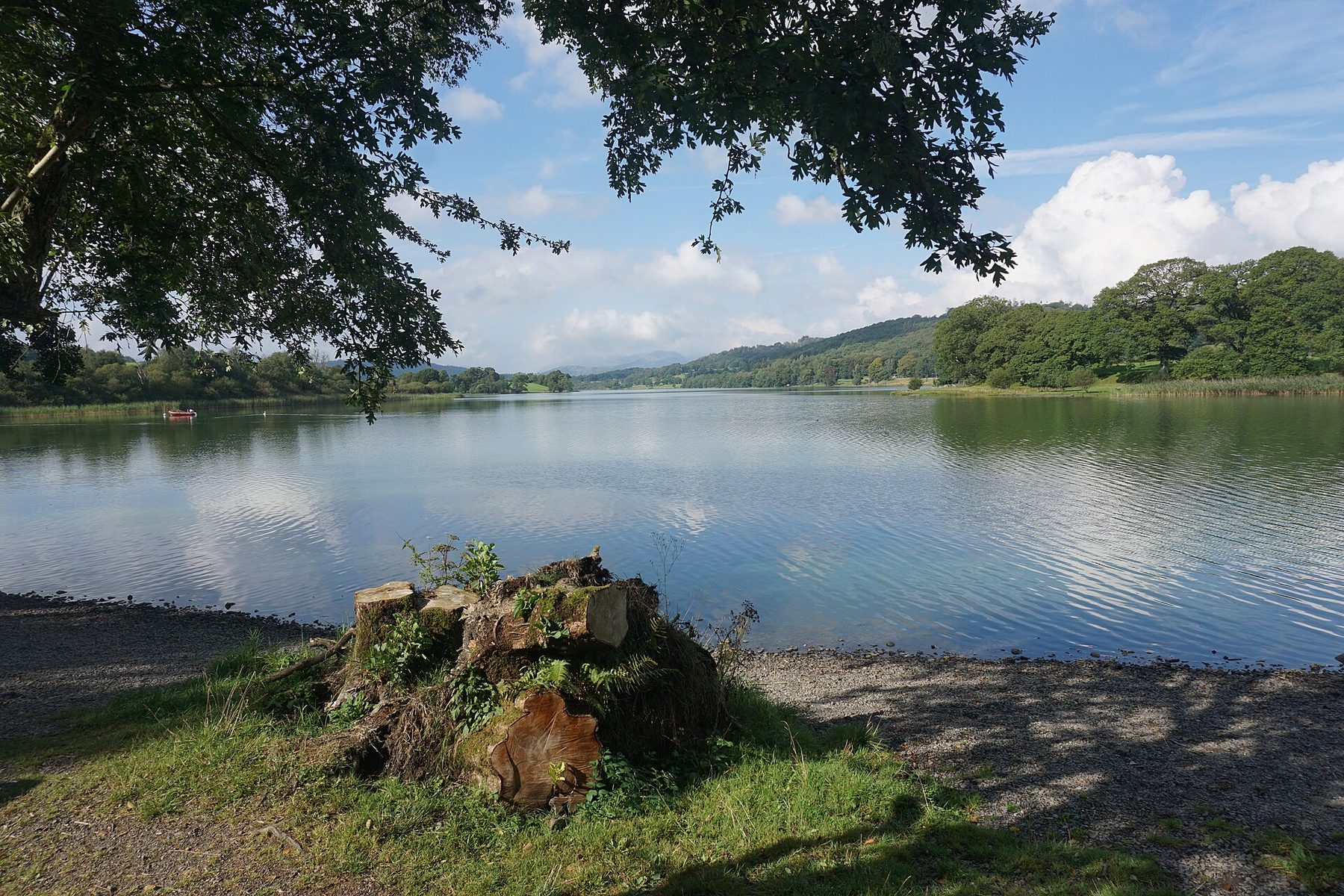 Esthwaite Water Circular Walk