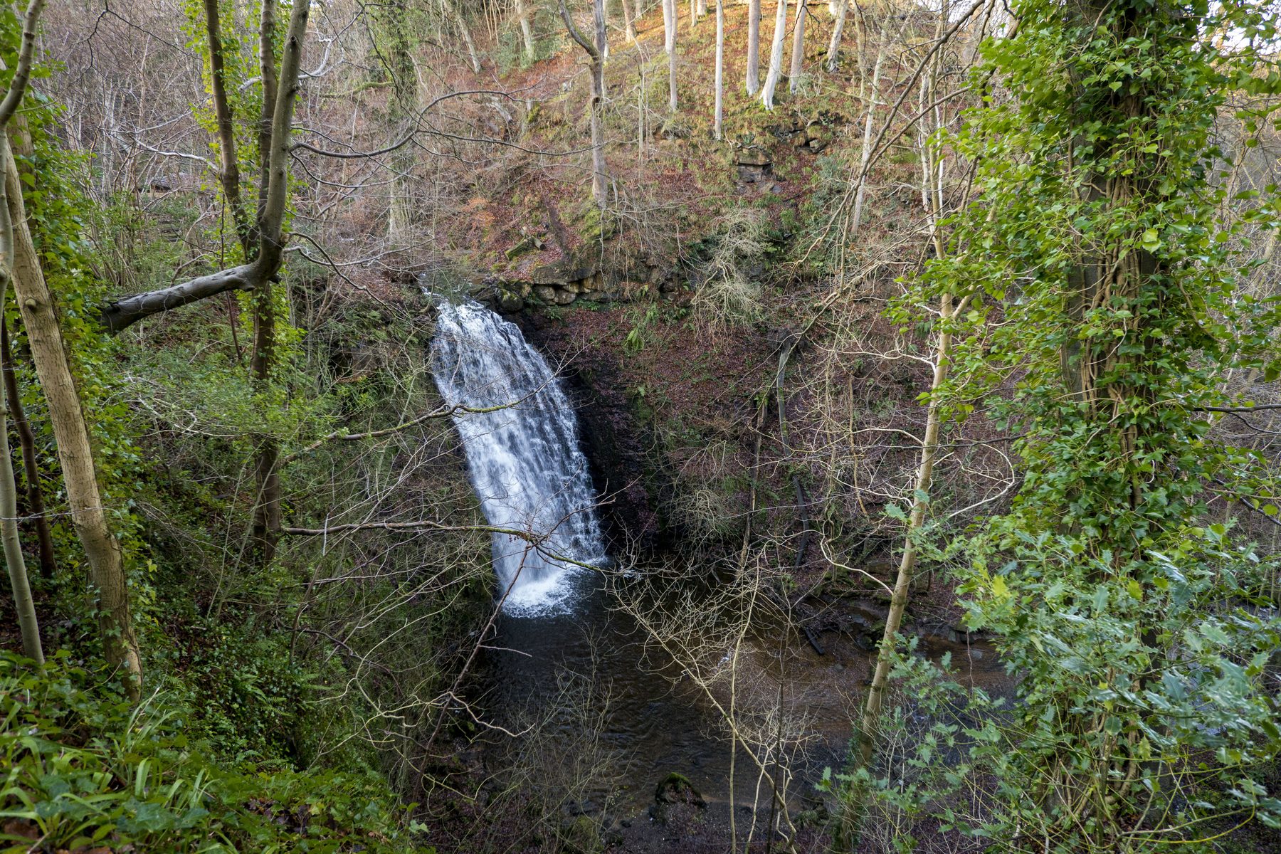 Falling Foss and the Arncliffe Woods Loop