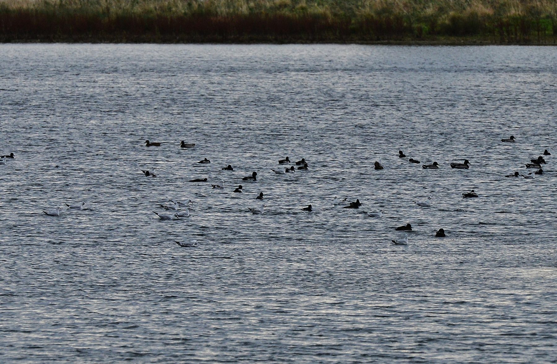 Fosse Way and Eye Brook Reservoir Circular