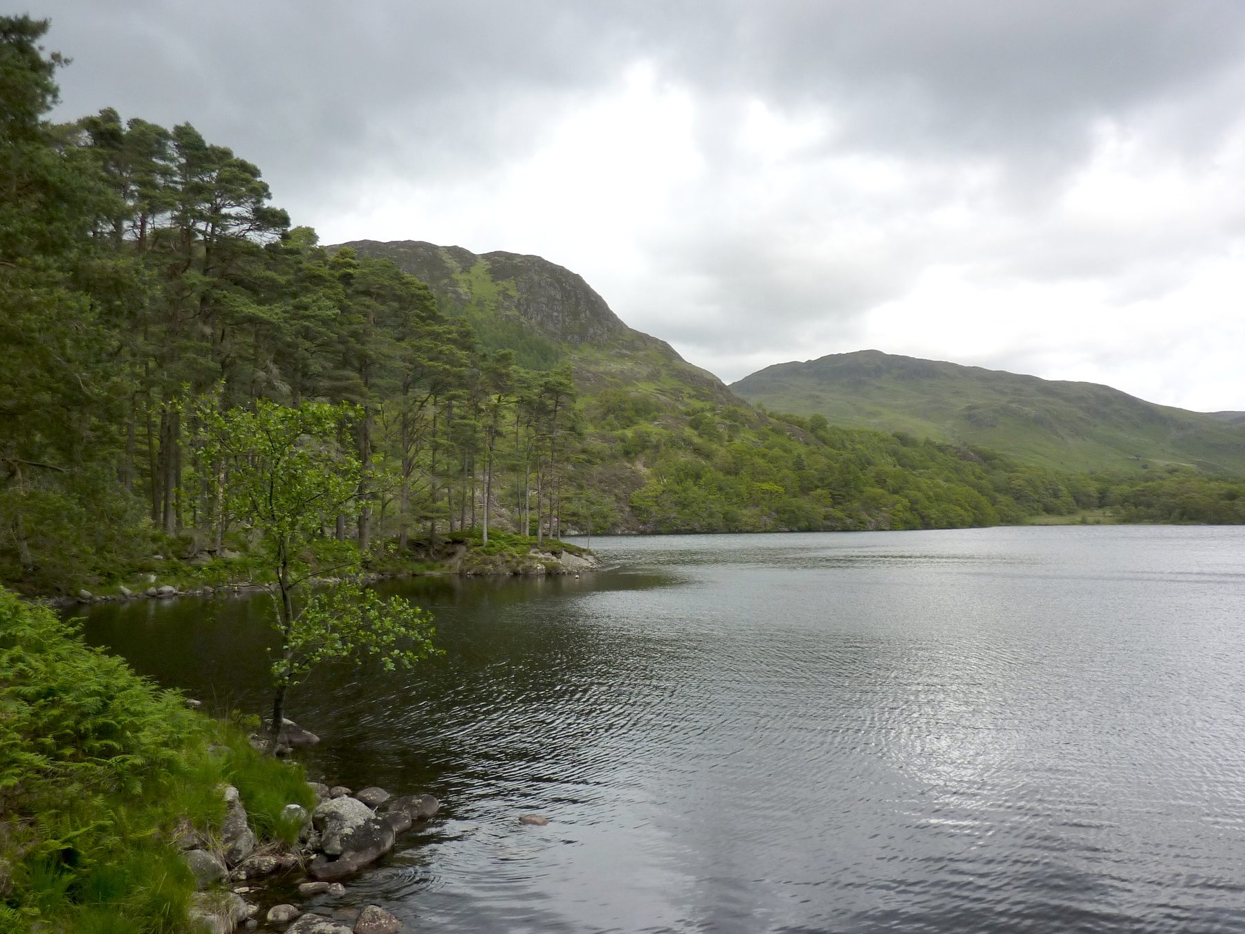 Galloway Forest Park: Loch Trool Circular