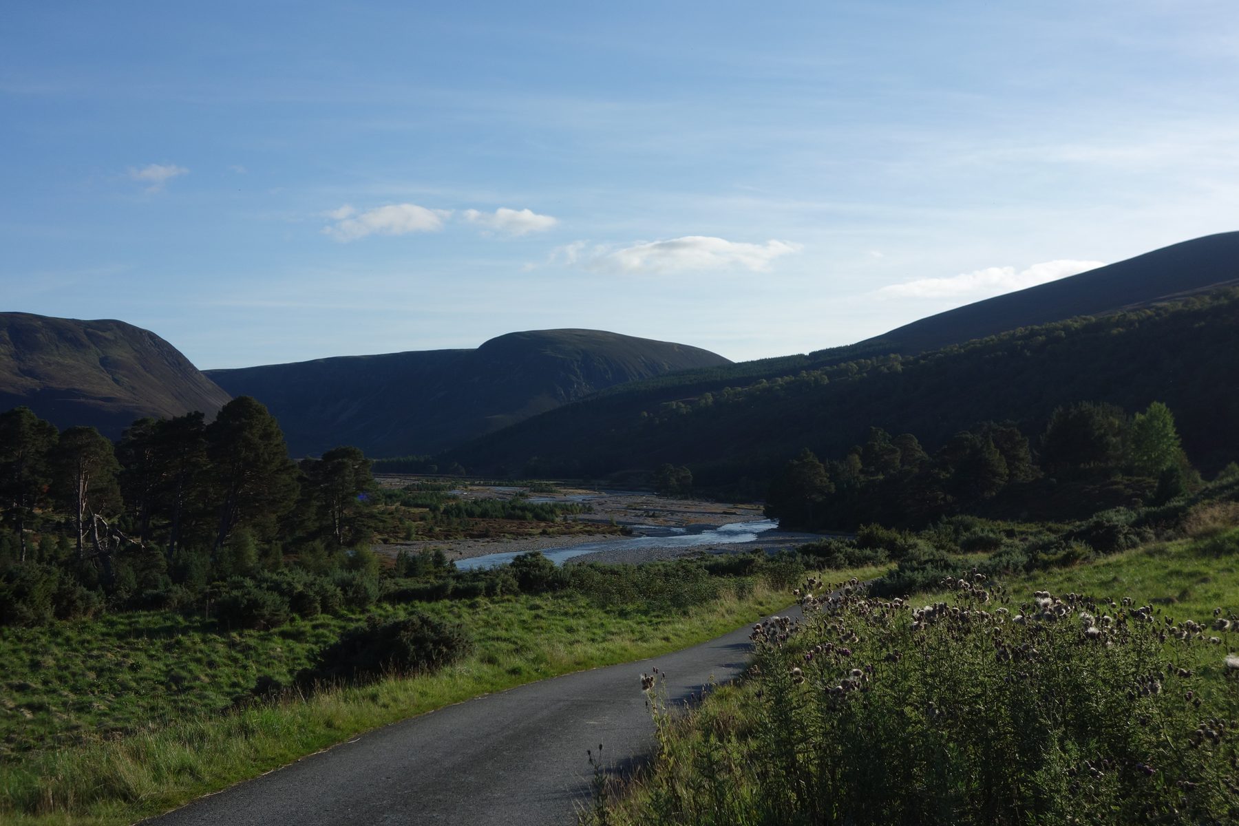 Glen Feshie Walk to Ruigh Aiteachain