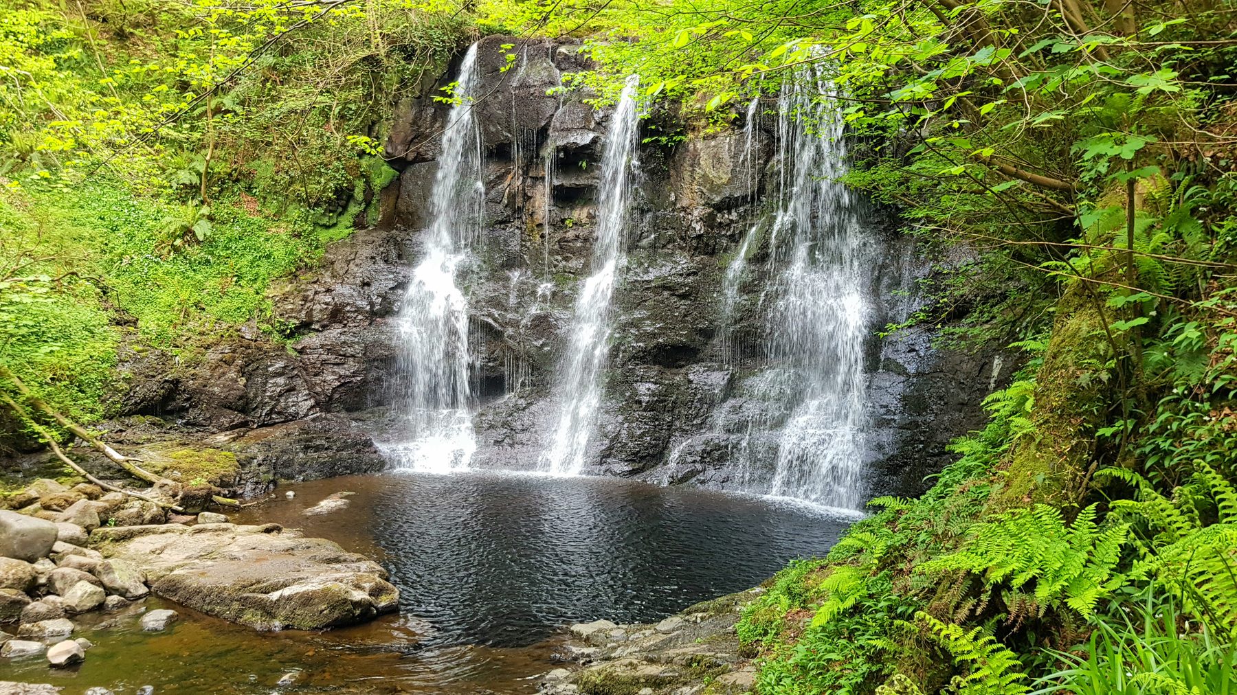 Glenariff Forest Park Upper Waterfall Trail