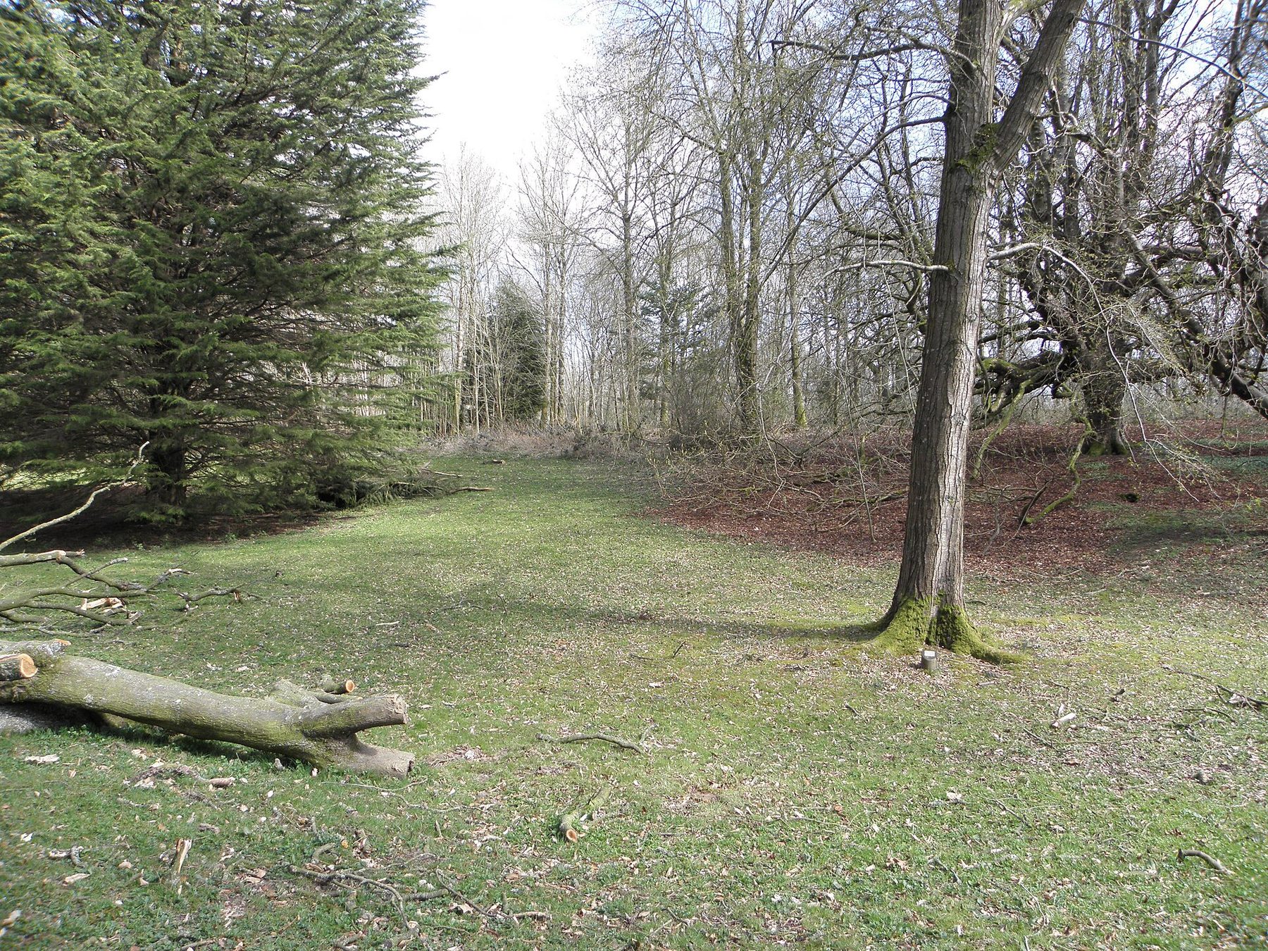 Gosford Forest Park Circular