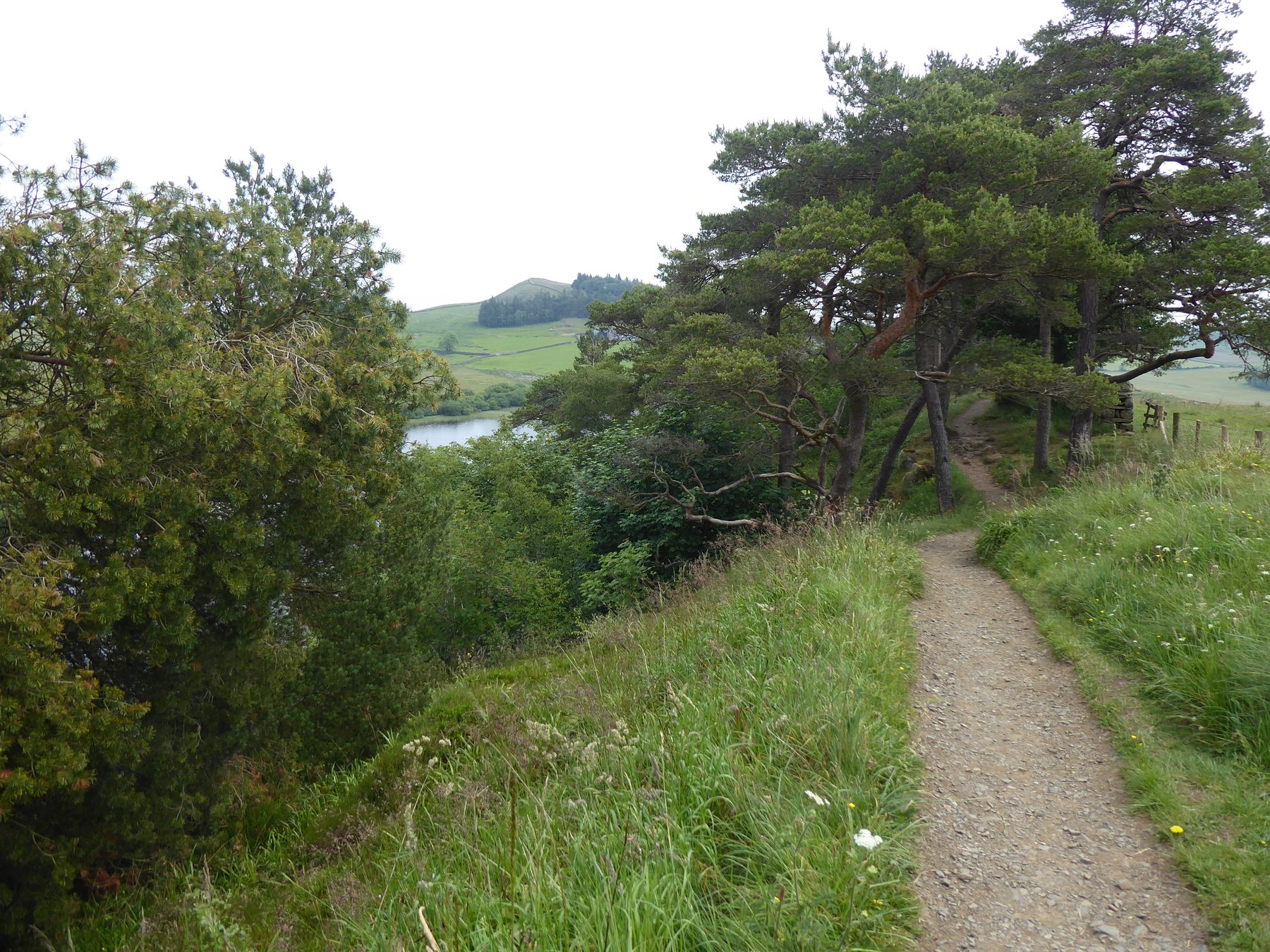 Hadrian's Wall: Vindolanda to Twice Brewed