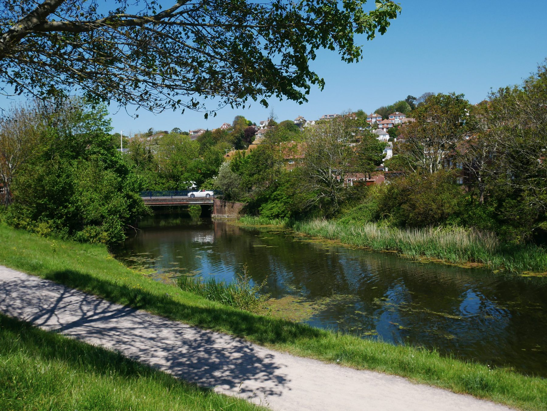 Ham Street Woods and Royal Military Canal Walk