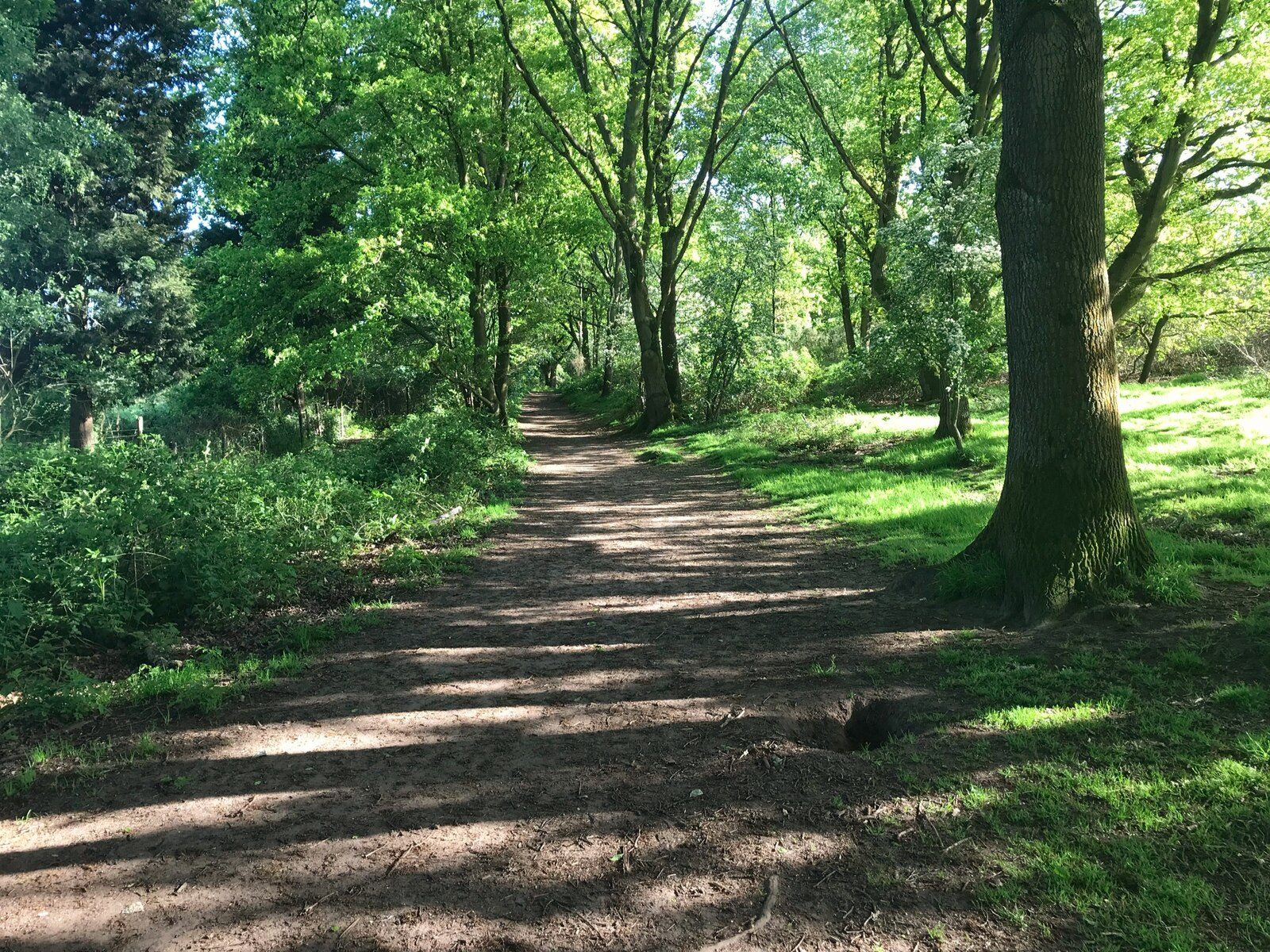 Hartlebury Common Nature Reserve Walk