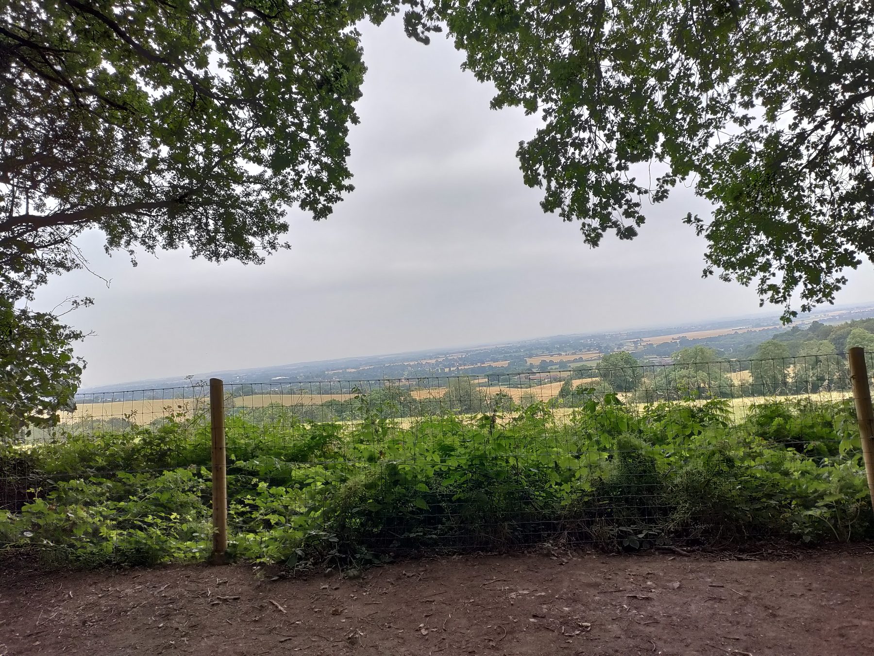 Hartshill Hayes Country Park Circular
